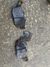 IMG_4362.jpeg