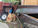 PXL_20240619_235200061.jpg