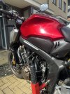 IMG_0049.jpeg