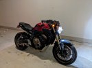 PXL_20201204_010459406.jpg