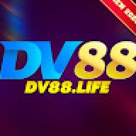 dv88life