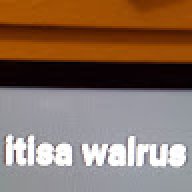 walrus1