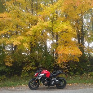 Fall color ride