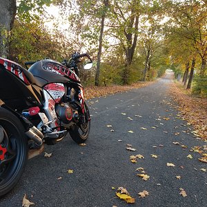 Autumn 1