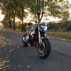 Autumn 2
