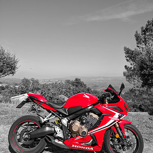 On the twisties
